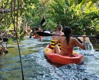 Excursiones de kayak